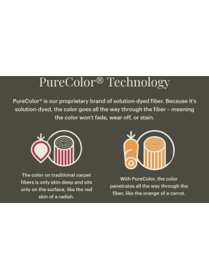 Carpet PureColor Technology