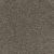 Trendsetter I Residential Carpet Color: Imperial Sable - Dreamweaver by Engineered Floors
