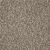 Jackson Hole II Residential Carpet Color: Campground  - Dreamweaver by Engineered Floors