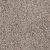 Knockout II Residential Carpet Color: Meadow Trail - Dreamweaver by Engineered Floors