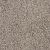 Trendsetter I Residential Carpet Color: Meadow Trail - Dreamweaver by Engineered Floors