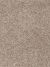 Epic II Residential Carpet Color: Tuscan Sun - Dreamweaver by Engineered Floors