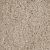 Knockout I Residential Carpet Color: Oatfield - Dreamweaver by Engineered Floors