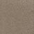 Toast of the Town Residential Carpet Color: Natural Cotton - Dreamweaver by Engineered Floors