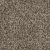 West Brow Residential Carpet Color: Copper Mine - Dreamweaver by Engineered Floors