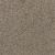 Trendsetter II Residential Carpet Color: Oxford Stone - Dreamweaver by Engineered Floors