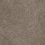 Trendsetter I Residential Carpet Color: Soft Tan - Dreamweaver by Engineered Floors
