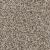 West Brow Residential Carpet Color: Granite - Dreamweaver by Engineered Floors