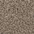 West Brow Residential Carpet Color: Bedrock - Dreamweaver by Engineered Floors