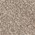 West Brow Residential Carpet Color: Haystack - Dreamweaver by Engineered Floors