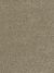Hollywood Residential Carpet Color: Sienna Sand - Dreamweaver by Engineered Floors