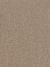 Montauk Residential Carpet Color: Mushroom - Dreamweaver by Engineered Floors