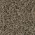 West Brow Residential Carpet Color: Magnetite - Dreamweaver by Engineered Floors