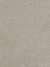 Hollywood Residential Carpet Color: Orion - Dreamweaver by Engineered Floors