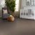 All About It Carpet Collection Color: Wild Truffle - Shaw Floors