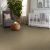 Cabana Life Carpet Collection Color: Dried Clay - Shaw Floors