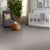 Framed View Carpet Collection Color: Warm Greige - Shaw Floors