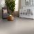 Make It Mine II Carpet Collection Color: Desert Light - Shaw Floors