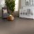 Make It Mine II Carpet Collection Color: Fox Hollow - Shaw Floors