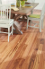 Newport Series Hardwood Flooring Color: Tigerwood - Impressions Flooring Collection