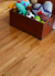 Piedmont Series Hardwood Flooring Color: Honey - Impressions Flooring Collection