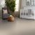 Smooth Talk I Carpet Collection Color: Angel Cloud - Shaw Floors