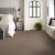 Smooth Talk I Carpet Collection Color: Cedar Key - Shaw Floors