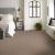 Smooth Talk I Carpet Collection Color: Warm Wood - Shaw Floors