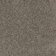 Trendsetter I Residential Carpet Color: New Haven - Dreamweaver by Engineered Floors