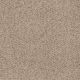 Toast of the Town Residential Carpet Color: Winter Blanket - Dreamweaver by Engineered Floors
