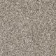 Jackson Hole I Residential Carpet Color: Sierra Lace - Dreamweaver by Engineered Floors