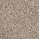 Jackson Hole I Residential Carpet Color: Sunglow - Dreamweaver by Engineered Floors