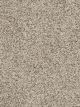 Confetti II Residential Carpet Color: Silver Mist - Dreamweaver by Engineered Floors