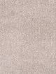 Show Stopper II Residential Carpet Color: Cottonwood - Dreamweaver by Engineered Floors