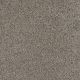 Trendsetter I Residential Carpet Color: Cloudy Sky - Dreamweaver by Engineered Floors