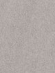 Exceptional II Residential Carpet Color: Clam Shell - Dreamweaver by Engineered Floors