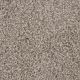 Knockout I Residential Carpet Color: Meadow Trail - Dreamweaver by Engineered Floors