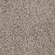 Trendsetter I Residential Carpet Color: Meadow Trail - Dreamweaver by Engineered Floors