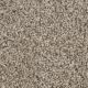 West Brow Residential Carpet Color: Canyon Bluff - Dreamweaver by Engineered Floors