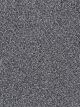 West Brow Residential Carpet Color: Pearl Slate - Dreamweaver by Engineered Floors