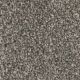 West Brow Residential Carpet Color: Iron Sands - Dreamweaver by Engineered Floors