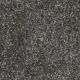 Knockout II Residential Carpet Color: Haven Crest - Dreamweaver by Engineered Floors