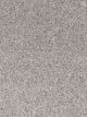 Epic II Residential Carpet Color: Crystal Topaz - Dreamweaver by Engineered Floors