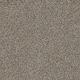 Trendsetter II Residential Carpet Color: Glimmer - Dreamweaver by Engineered Floors