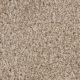 West Brow Residential Carpet Color: Rusty Opal - Dreamweaver by Engineered Floors