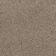 Trendsetter I Residential Carpet Color: Pelican Bay - Dreamweaver by Engineered Floors