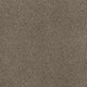 Toast of the Town Residential Carpet Color: English Stone - Dreamweaver by Engineered Floors