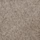 Knockout II Residential Carpet Color: Lark Haven - Dreamweaver by Engineered Floors