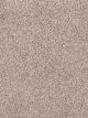 Show Stopper II Residential Carpet Color: Garden Rock - Dreamweaver by Engineered Floors