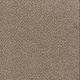 Toast of the Town Residential Carpet Color: Natural Cotton - Dreamweaver by Engineered Floors